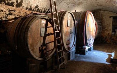 Journée route des vins Domaine pontifical à Chateauneuf du pape