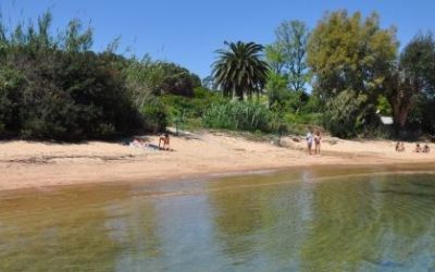 Colonie été 2016 – Porticcio