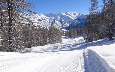Colonie Vallée du Champsaur – Multi Activité