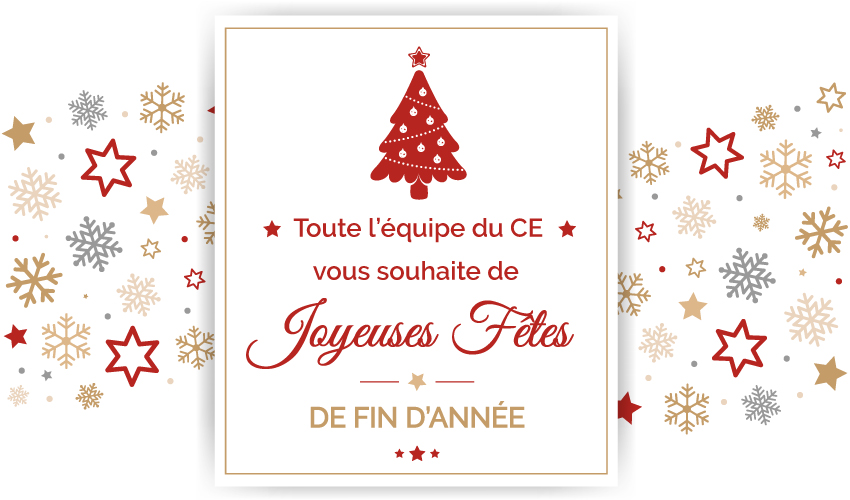 Joyeuses Fetes Comite Social Et Economique Lyondell Chimie France