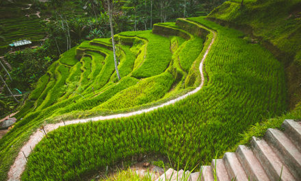 Voyage à bali