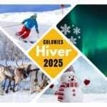 Colonies hiver 2025