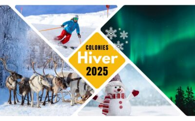 Colonies hiver 2025