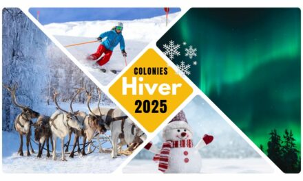 Colonies hiver 2025