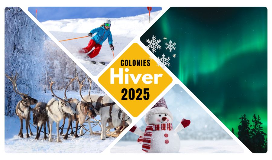 Colonies hiver 2025