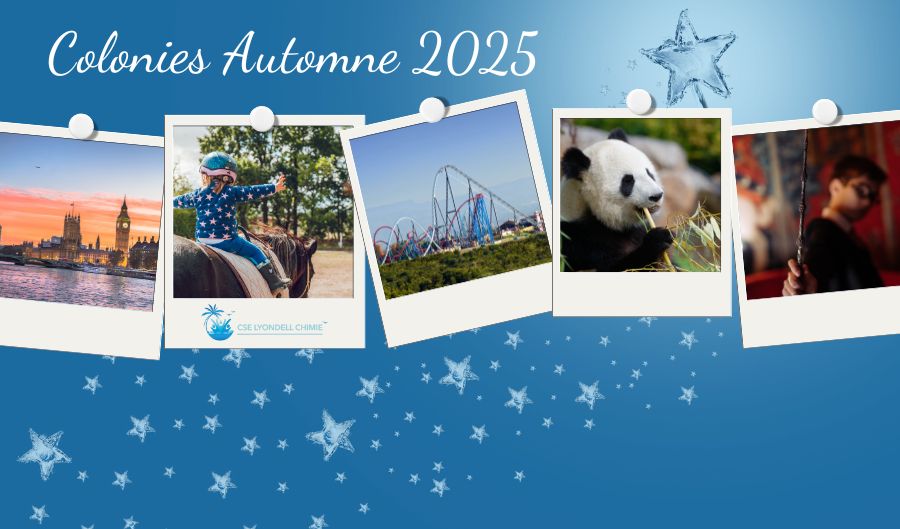 Colonies Automne 2025