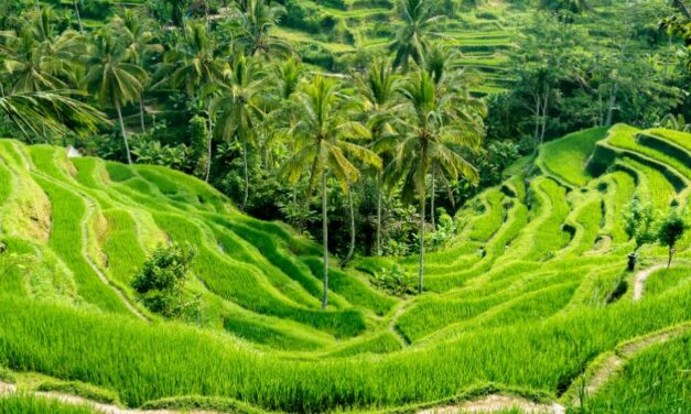 Circuit Bali Octobre 2026