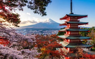 Voyage au japon – Avril 2027